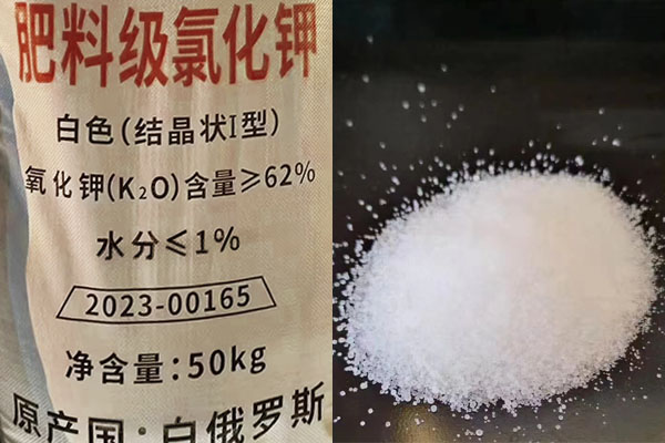 肥料級氯化鉀如何施用？